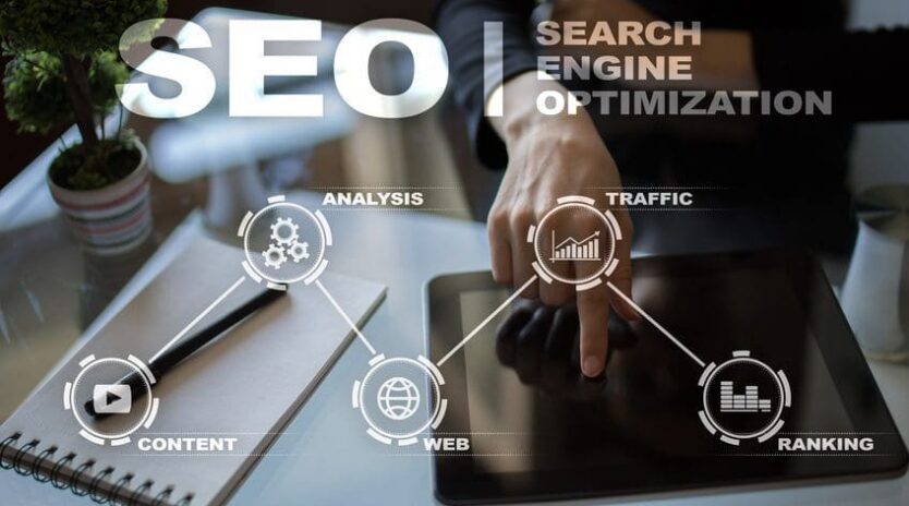 seo expert