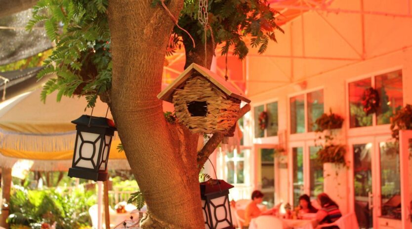 Best Outdoor Restaurant for Events in Miami, Recommended by IBIS.