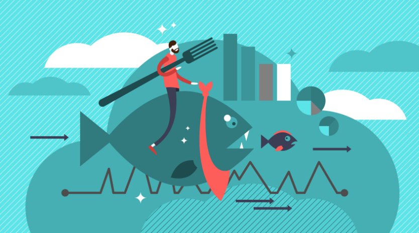 seo for private schools